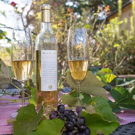مونتايون Podere La Casetta - Casa Di Campagna المظهر الخارجي الصورة