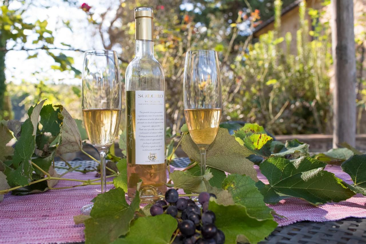 مونتايون Podere La Casetta - Casa Di Campagna المظهر الخارجي الصورة