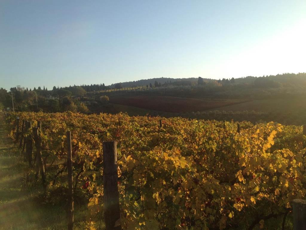 مونتايون Podere La Casetta - Casa Di Campagna المظهر الخارجي الصورة