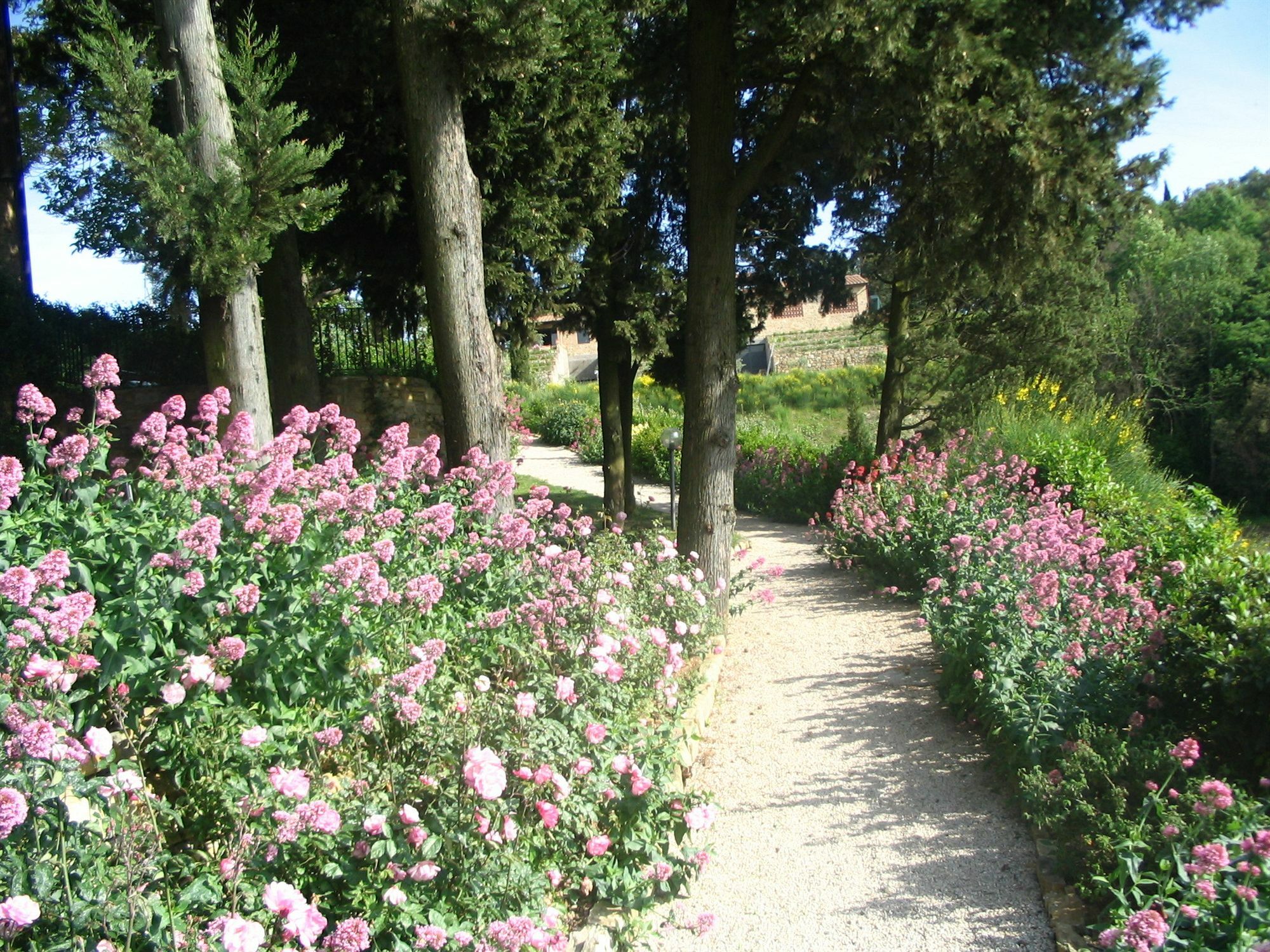 مونتايون Podere La Casetta - Casa Di Campagna المظهر الخارجي الصورة